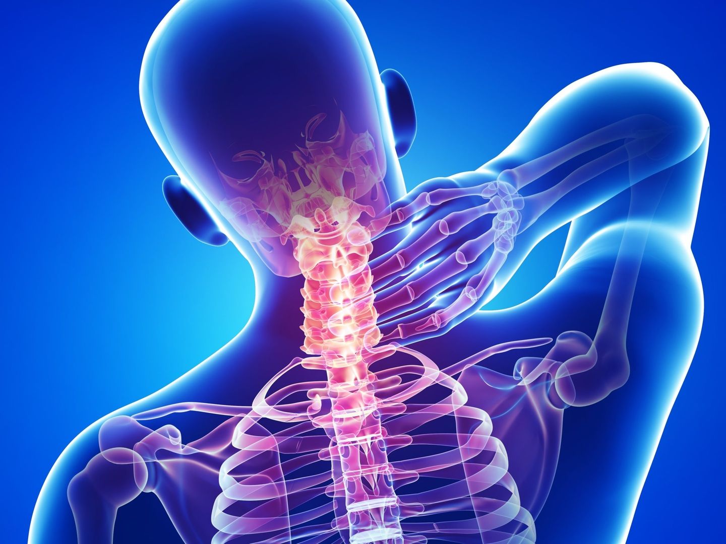 Anatomische Darstellung der Halswirbelsäule und des menschlichen Skeletts
